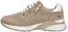 Sneaker low - small