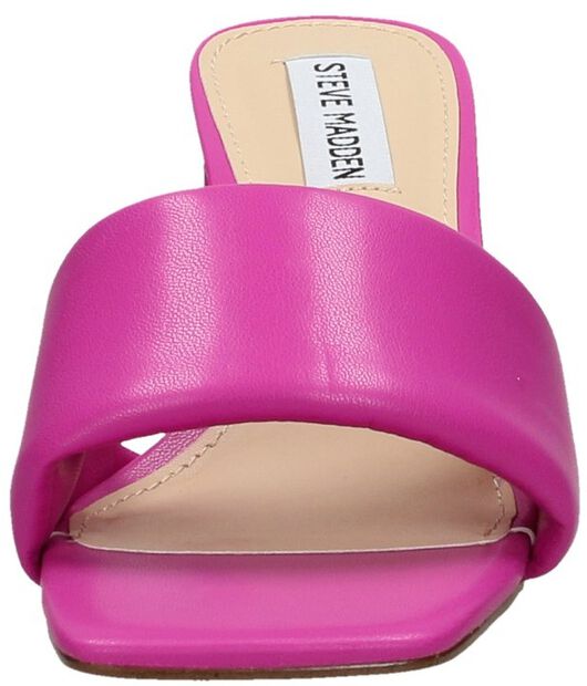 Lovebird - large