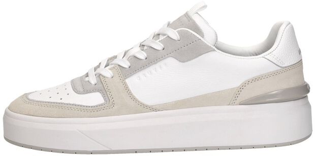 Surefire Tennis - large