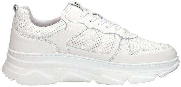 Sneaker low - large