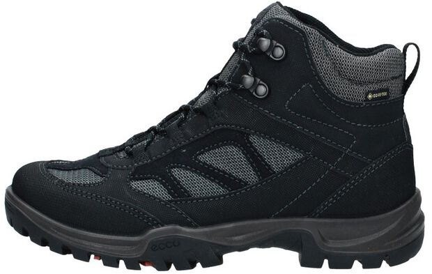 Xpedition III W - large