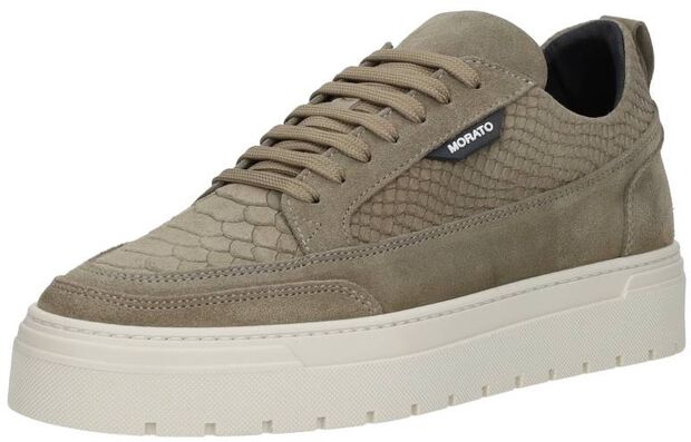 Schnürschuhe low - large
