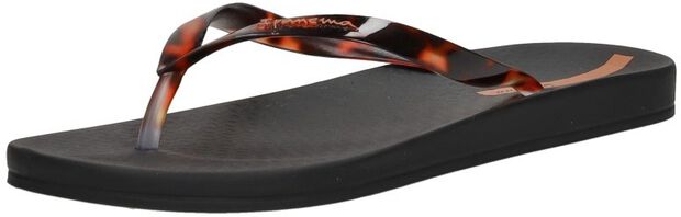 Anatomic Connect - large