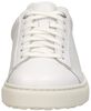 Blend Low - small