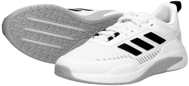 Trainer V - large