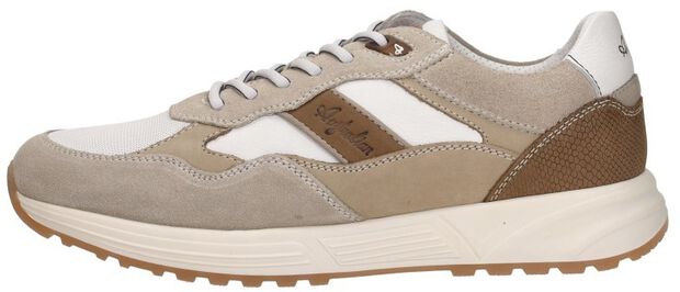 Grants - Flexmove - large