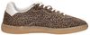 Sneakers Laag - small
