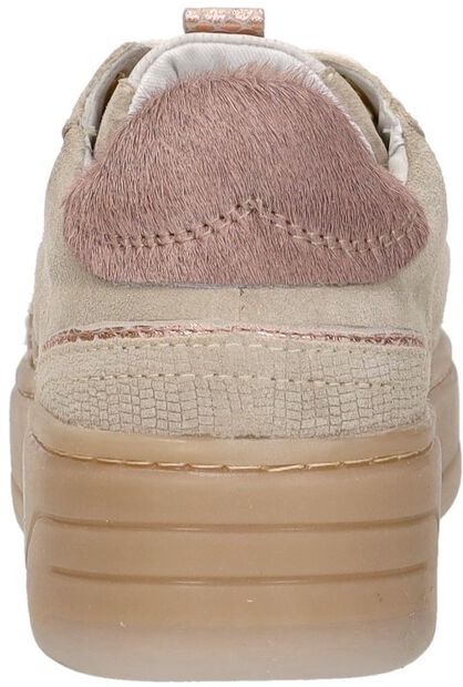 Sneakers Laag - large