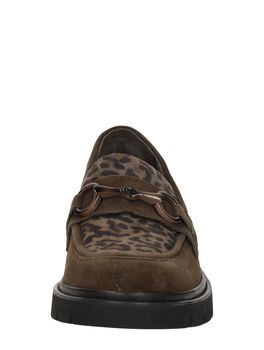 Mocassin