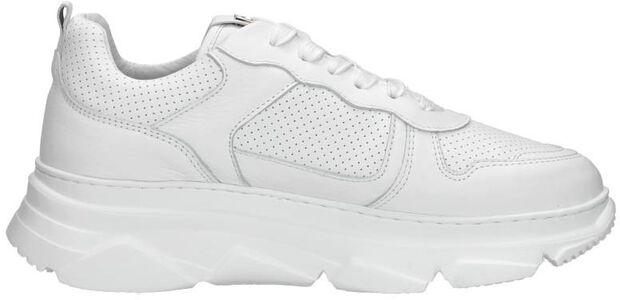 Sneaker low - large