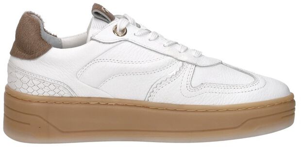 Sneakers Laag - large