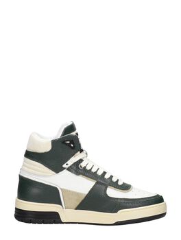 Basketta Hi