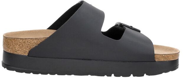 Arizona PAP Flex Platform - large