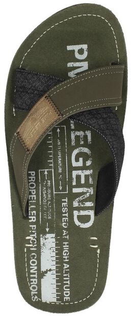 Haig - large
