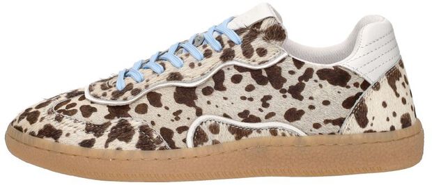 Sneakers Laag - large