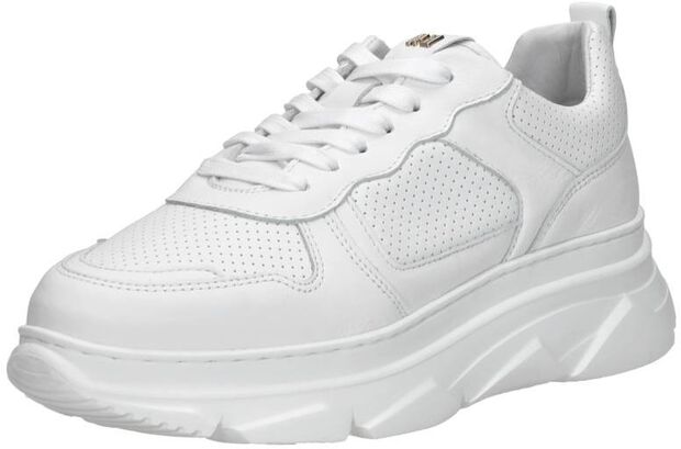Sneaker low - large