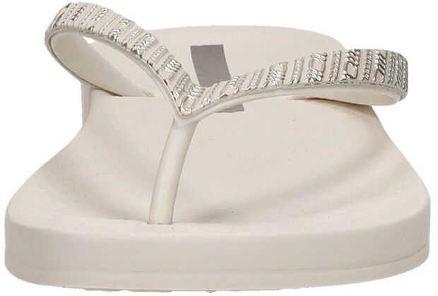 Anatomic Mesh - large