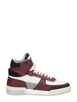 Basketta Hi