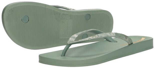 Anatomic Mesh - large