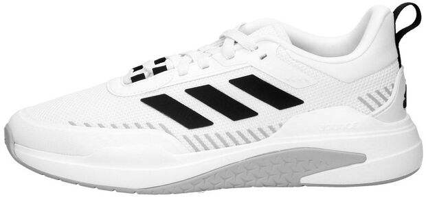 Trainer V - large