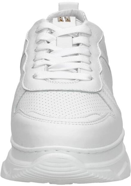 Sneaker low - large