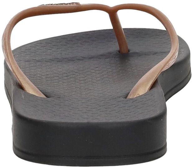 Anatomic Tan - large