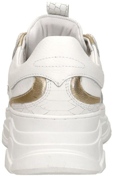 Schnürschuhe low - large