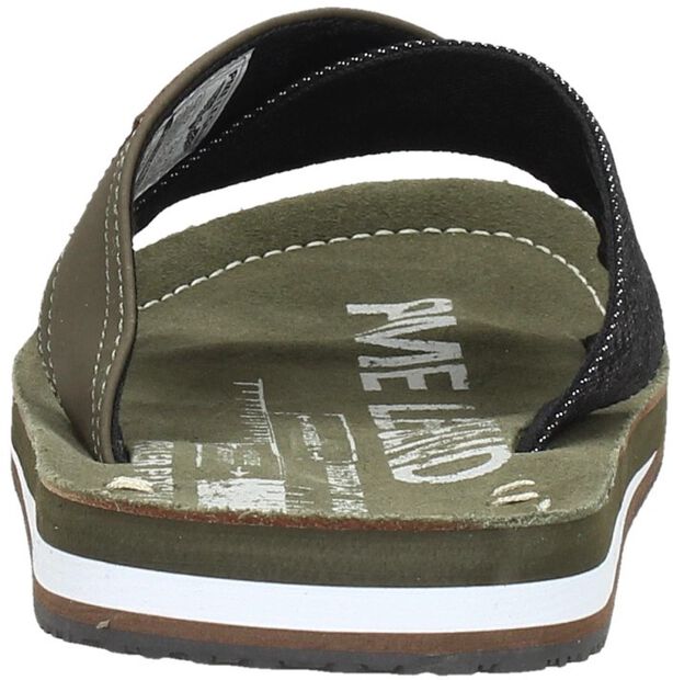 Haig - large