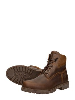 Amur Gtx C8