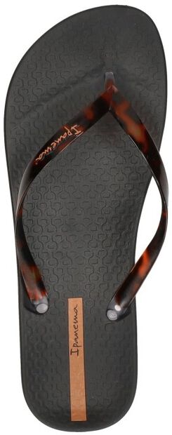 Anatomic Connect - large