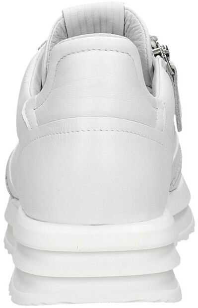Schnürschuhe low - large