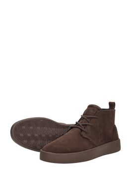Desert Chukka