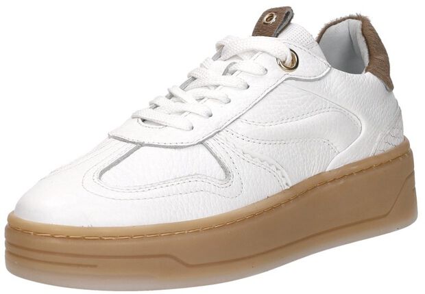 Sneakers Laag - large