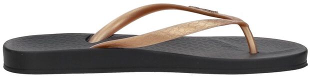 Anatomic Tan - large