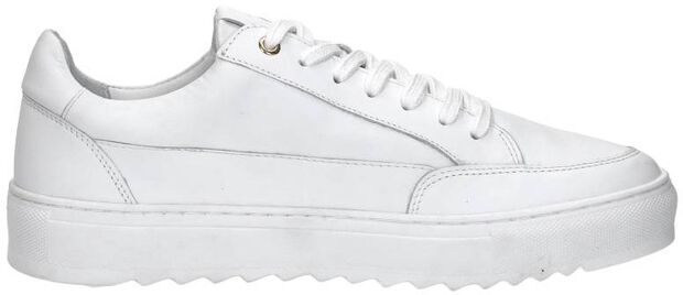 Sneaker low - large