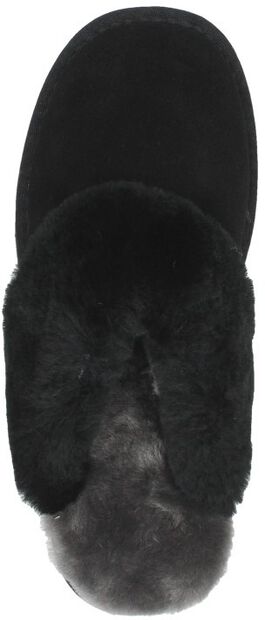 Flurry - large