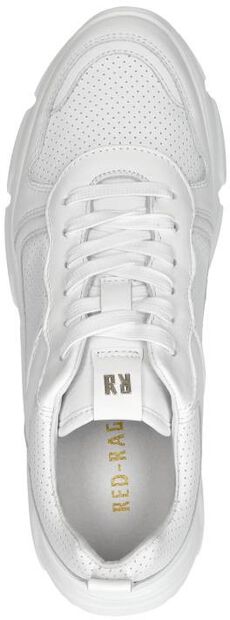 Sneaker low - large