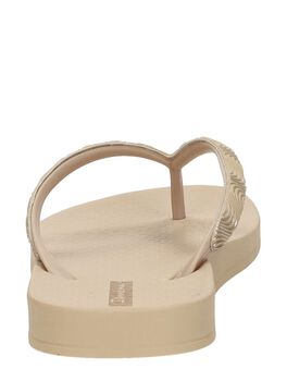 Anatomic Mesh