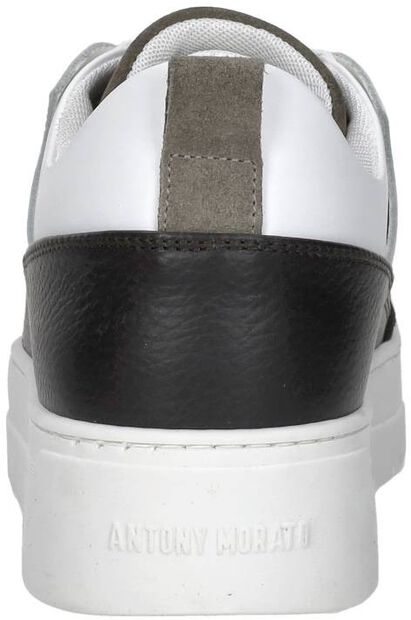 Schnürschuhe low - large
