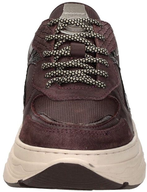 Sneakers Laag - large