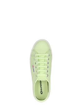 2790 Cotw Linea