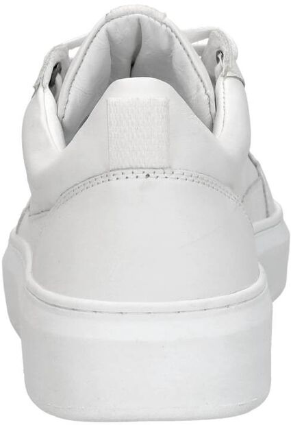 Sneaker low - large
