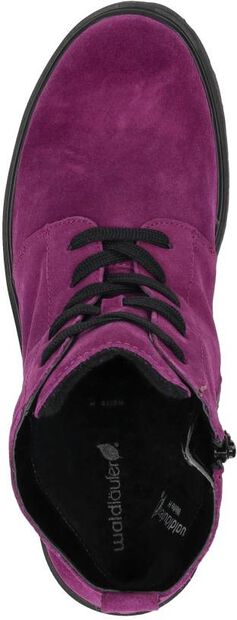 H-Luise - large