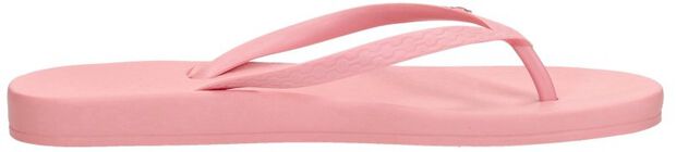 Anatomic Colors - large