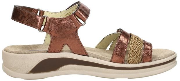 Fantom Elite - large