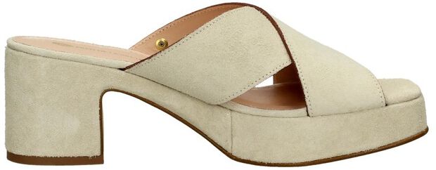 FRS1447 - large