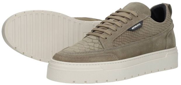 Schnürschuhe low - large
