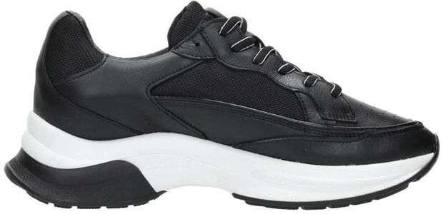 Sneaker low - large