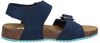 Castle Island 2 Strap - small