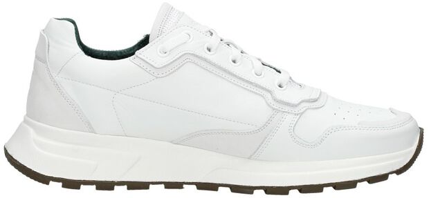 Gregor 01 - large
